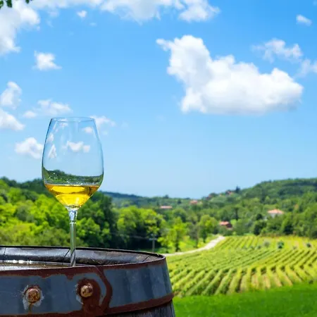 Park za odmor Porton Nature Hideouts Rovinj