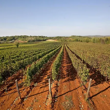 Porton Nature Hideouts Tatil parkı *