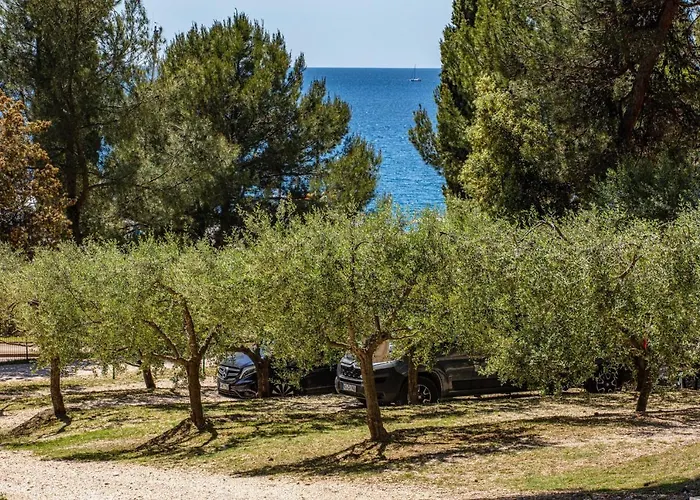 Vakantiepark Porton Nature Hideouts *